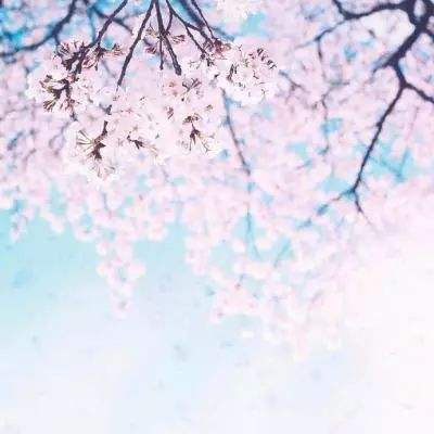 28网站手机app下载