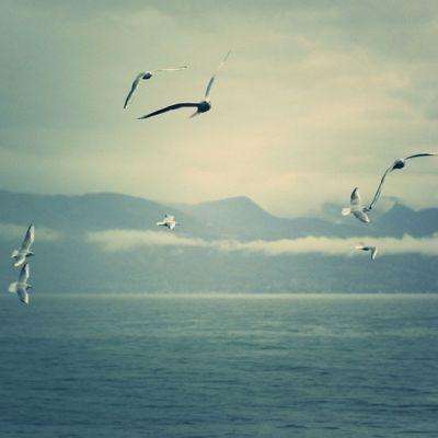 半岛官方APP入口手机app下载