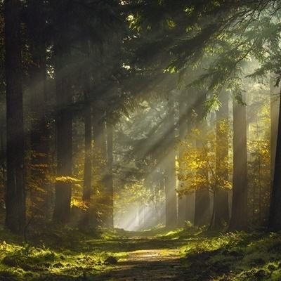 必博体育官方app下载