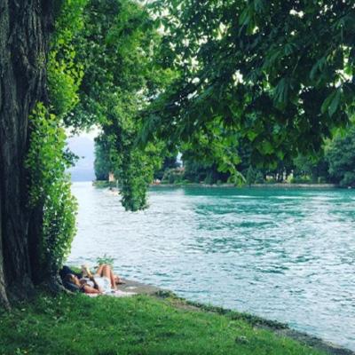 彩神lllv入口手机app下载