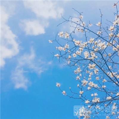 开云注册·官方网站截图