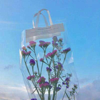 28网站手机app下载