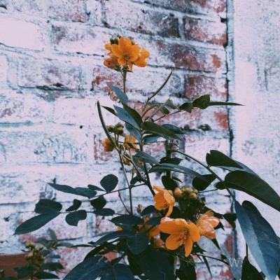 娱乐宝官网app下载