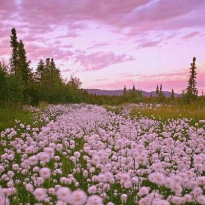 半岛官方APP入口手机app下载