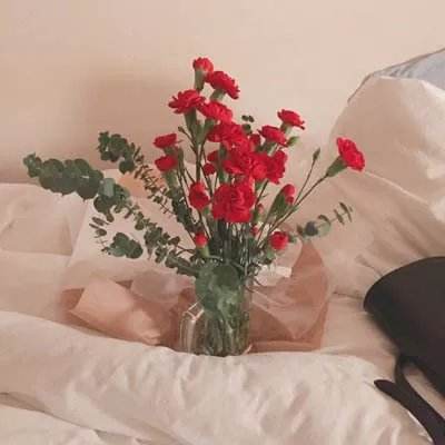 新澳门游戏网站入口