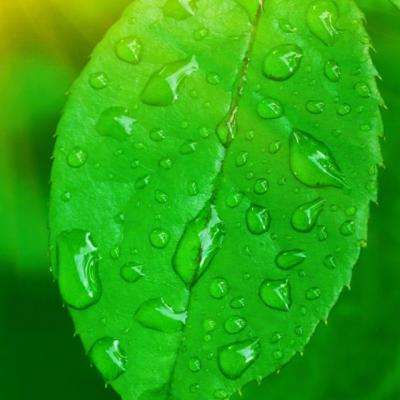 半岛综合娱乐app下载手机版